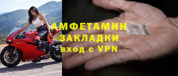 прущие грибы Чекалин