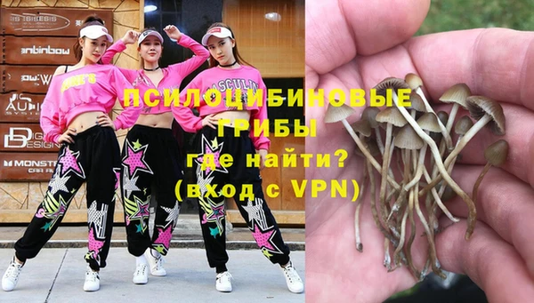 MDMA Premium VHQ Гусиноозёрск