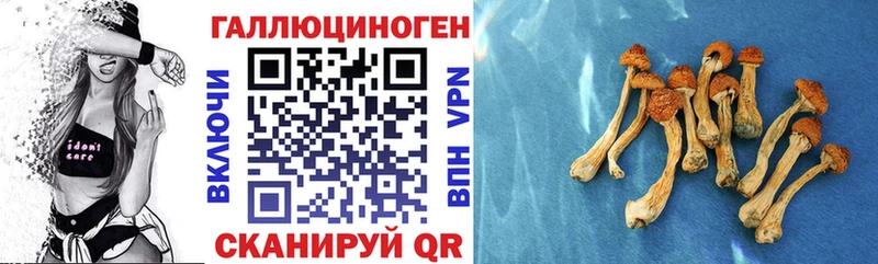 Галлюциногенные грибы мухоморы  Карабаш 